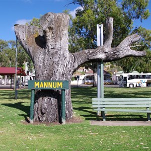 Mannum