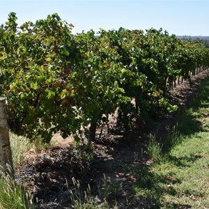 Renmark Irrigation District