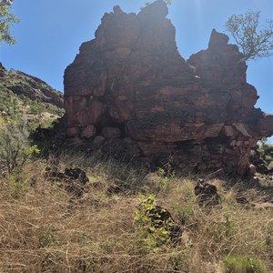 Crocodile Rock art