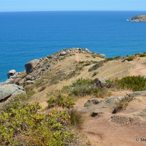 Rosetta Head (The Bluff)