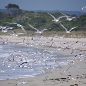 Antechamber Bay