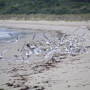 Antechamber Bay