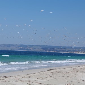 Antechamber Bay