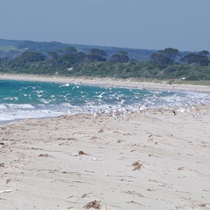 Antechamber Bay