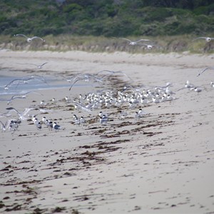 Red House Bay