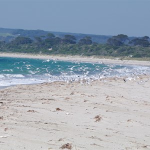Red House Bay