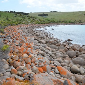 Moncrieff Bay