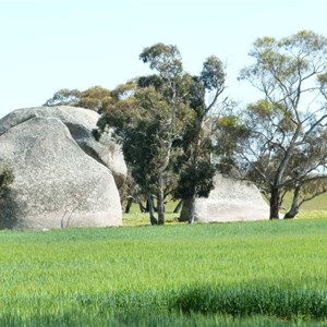 Richardson Rocks