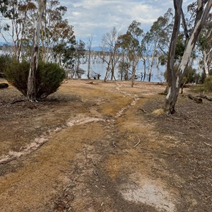 Lakeside camp