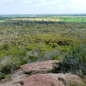 View from the top of Mt Monster