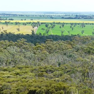 View from the top of Mt Monster