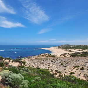 The Cove Jan 2025
