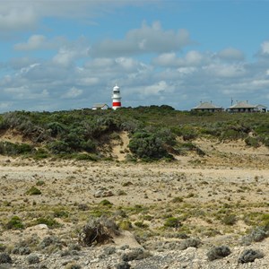 Cape Northumberland