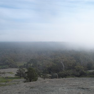 Burke and Wills Camp 10