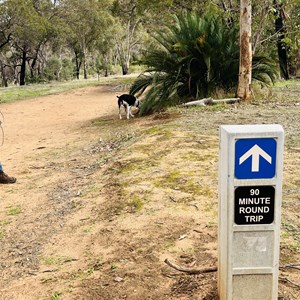 Bells Rapids Trailhead