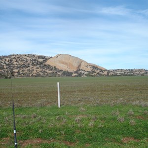 Burke & Wills Camp 11
