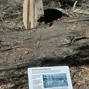 Burke & Wills Camp 34A.