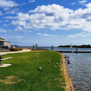 Grassy picnic areas beside the Leven River at Ulverstone