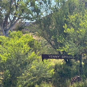 Yenny Spring