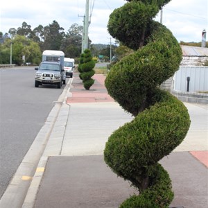 Topiary in Railton