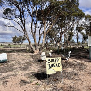Mangowine Community Sheep Dip