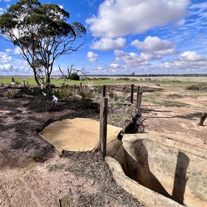 Mangowine Community Sheep Dip
