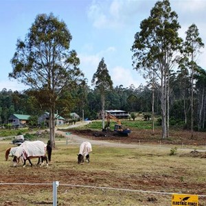 Moina is a rural and alpine area. Horses graze near the town.