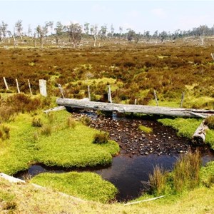 Alpine farmlands near Moina