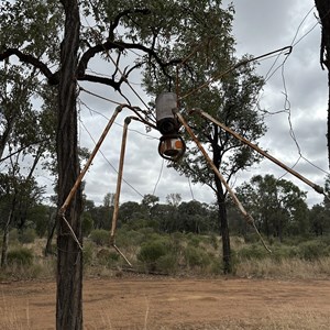 Spider sculpture