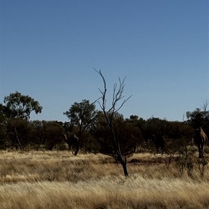 Potable water well