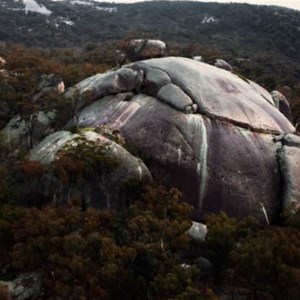 Turtle Rock