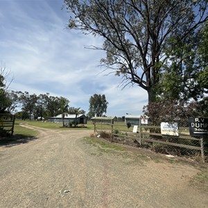 Baralaba Showgrounds Camping