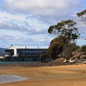 Seahorse World at Beauty Point