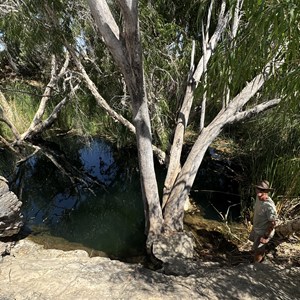Waterhole