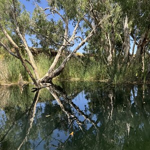 Waterhole
