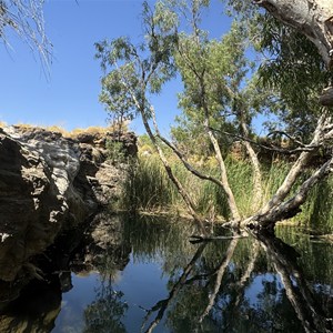 Waterhole