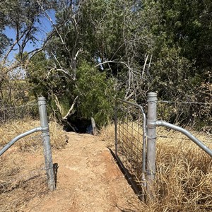 Waterhole