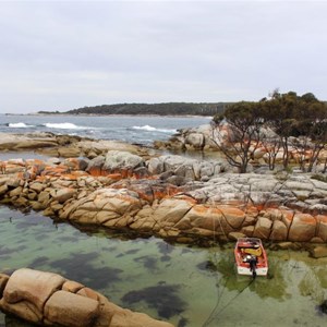 Lichen decorated rocks form a safe anchorage