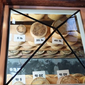 Cheeses on display under the floor of the caf?