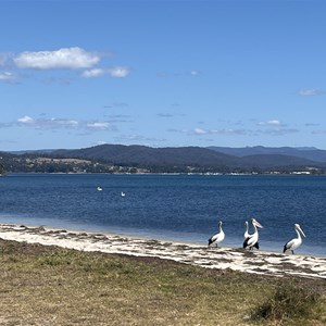 Georges Bay