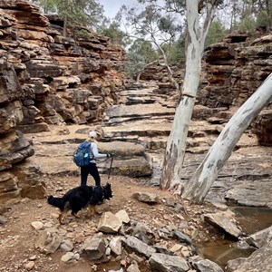 Ferguson Gorge