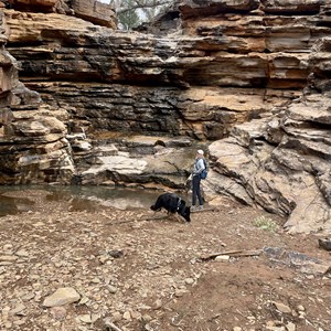 Ferguson Gorge