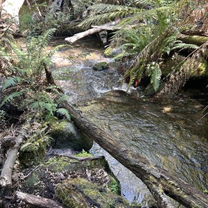 Meeting of the Waters
