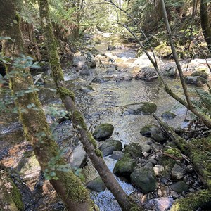 Meeting of the Waters