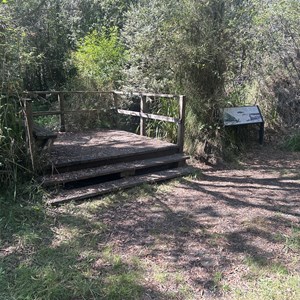 Taggerty River Lookout