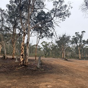 Rest Area - Woottating