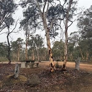 Rest Area - Woottating