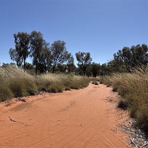 Camping Area