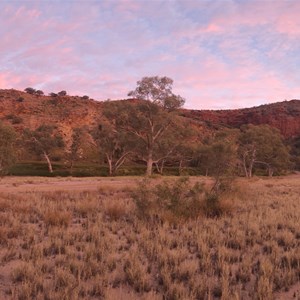 Camp