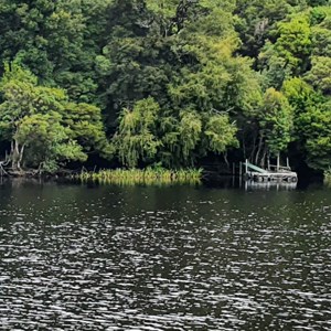 Pine Landing